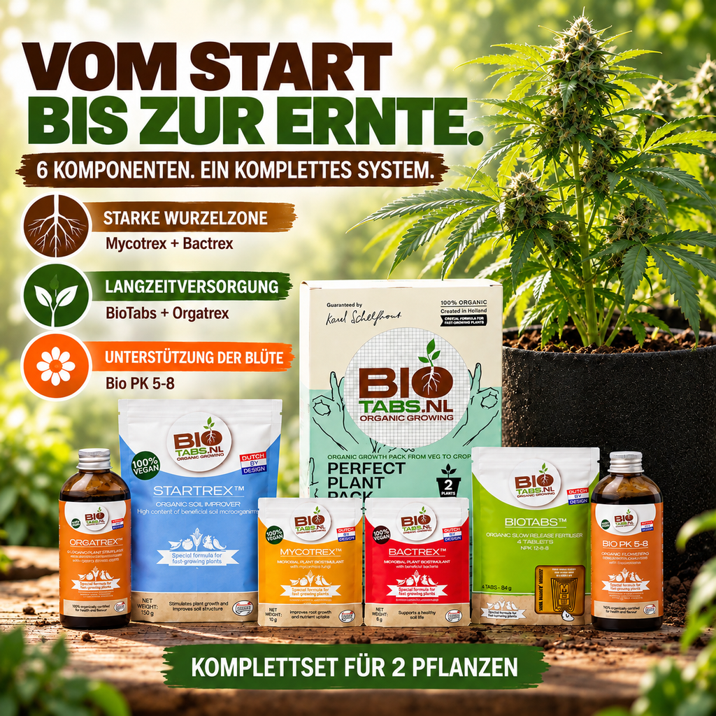 BioTabs Perfect Plant Pack