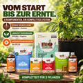 BioTabs Perfect Plant Pack