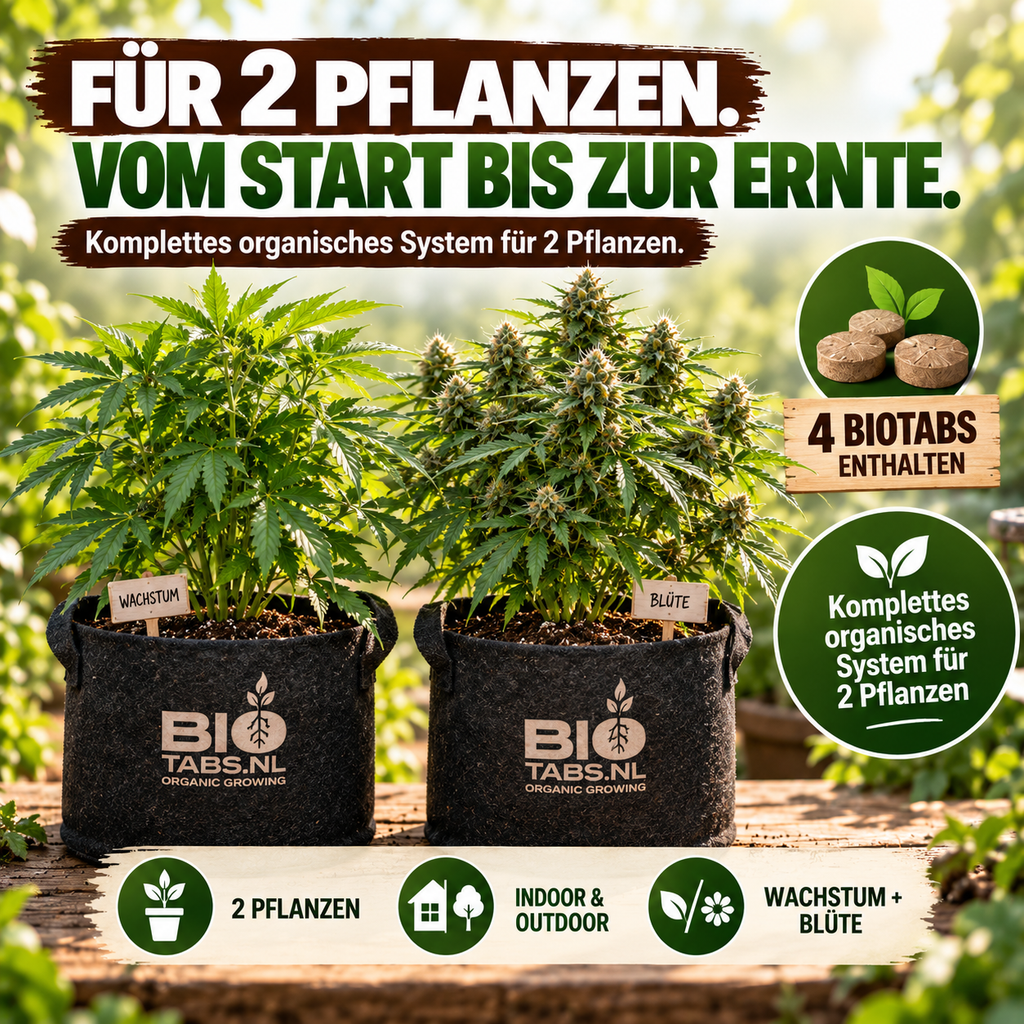 BioTabs Perfect Plant Pack
