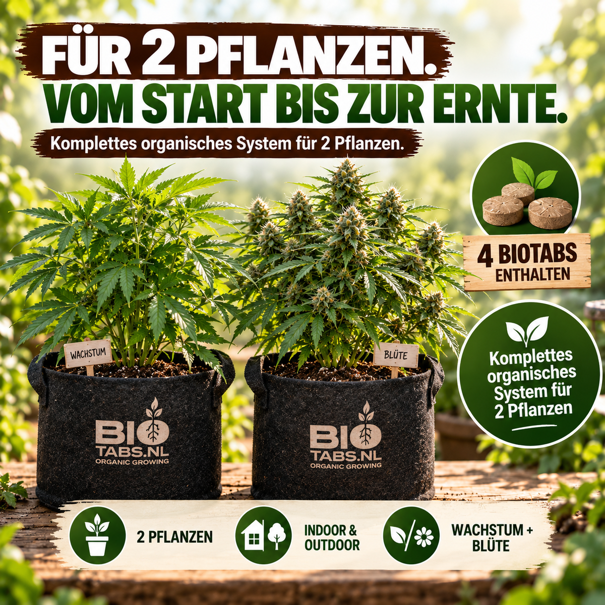 BioTabs Perfect Plant Pack