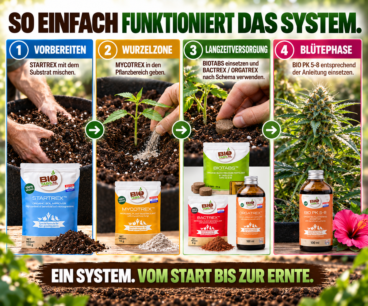 BioTabs Perfect Plant Pack