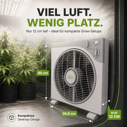 Dutch Masters Box Fan 30 cm – 40 W