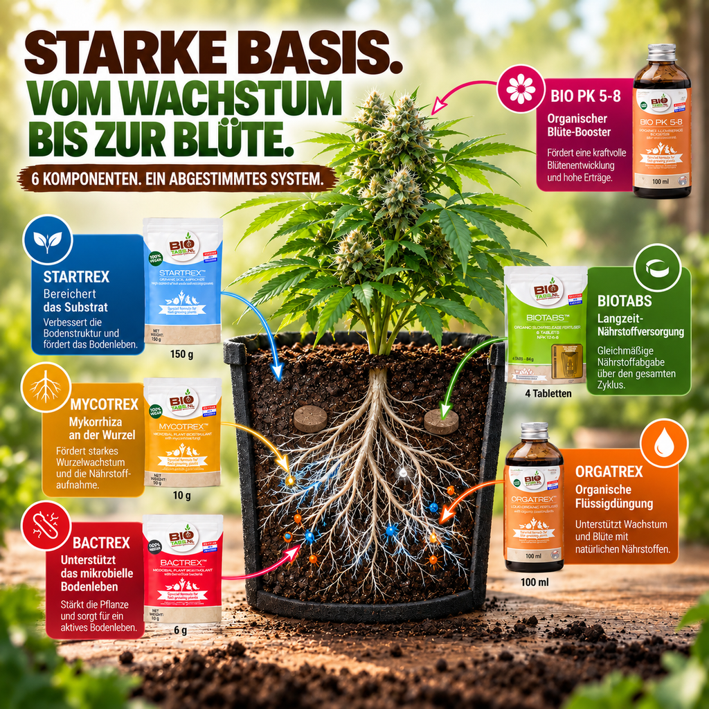 BioTabs Perfect Plant Pack