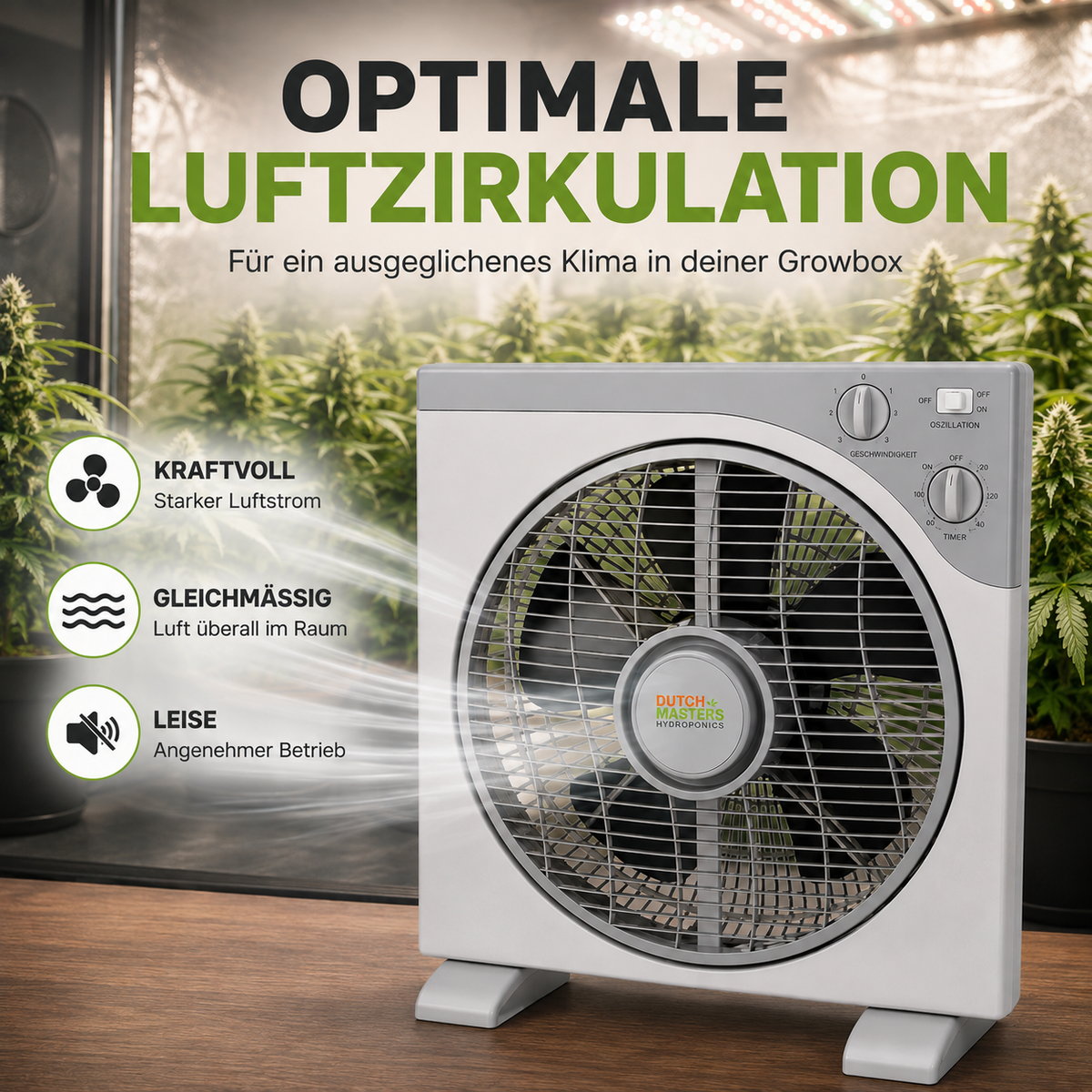 Dutch Masters Box Fan 30 cm – 40 W