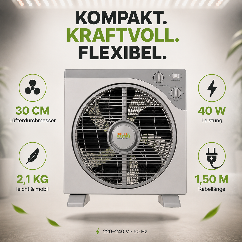 Dutch Masters Box Fan 30 cm – 40 W
