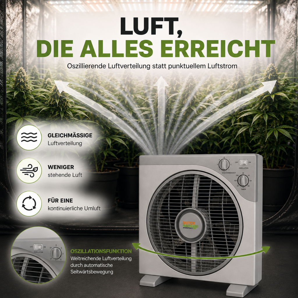 Dutch Masters Box Fan 30 cm – 40 W