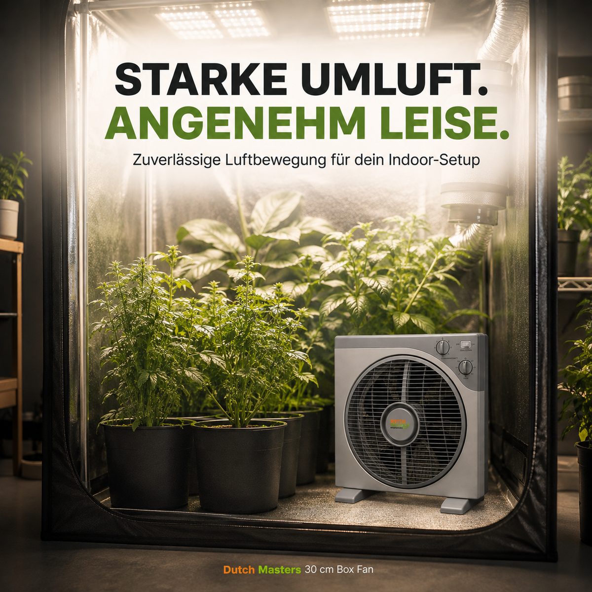 Dutch Masters Box Fan 30 cm – 40 W