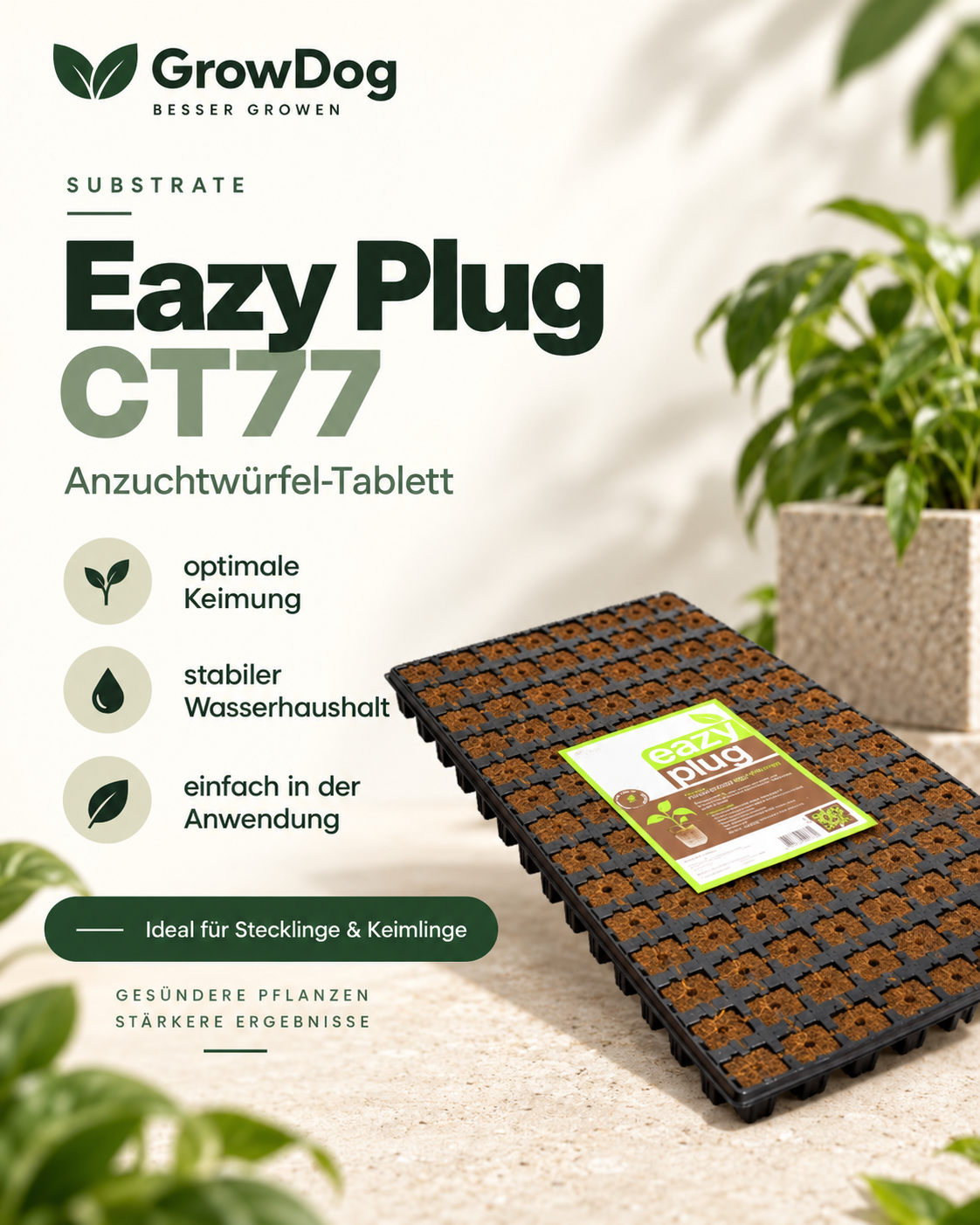 Eazy Plug CT77
