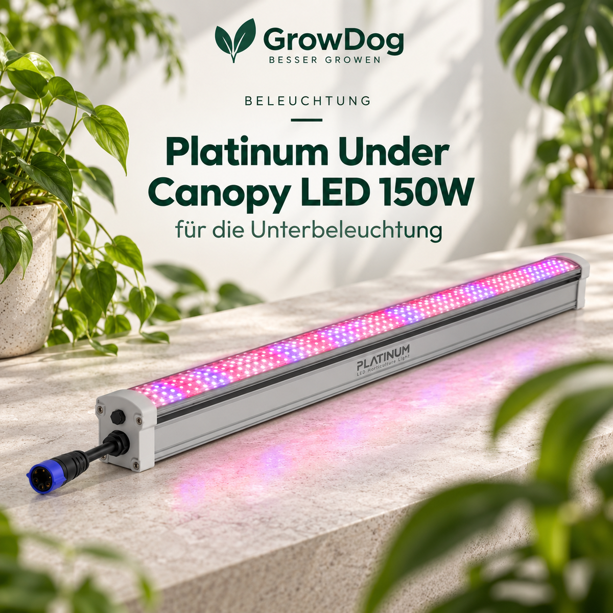Platinum Under Canopy LED 150 W
